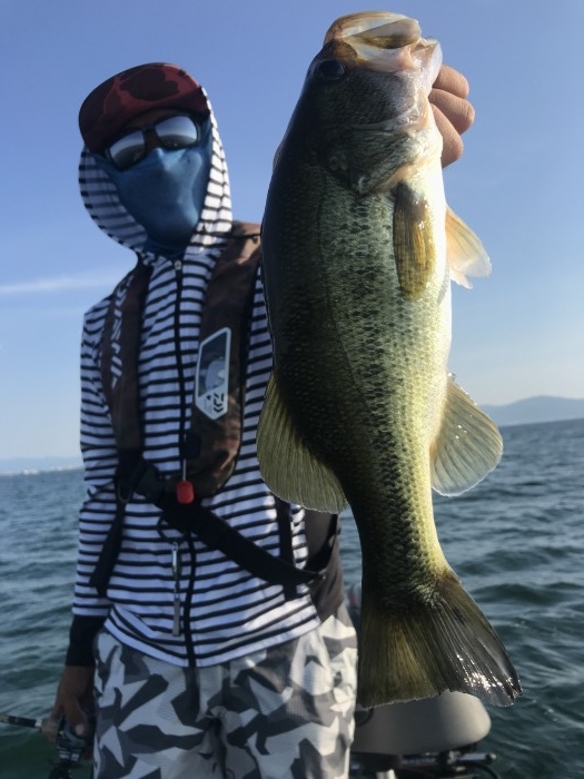 truth  ブログ写真 2020/08/19