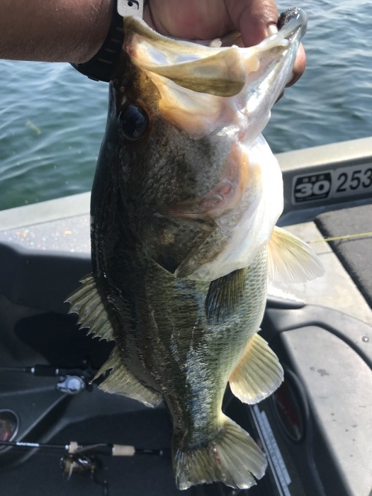 truth  ブログ写真 2020/08/20