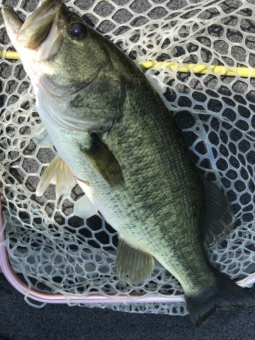 truth  ブログ写真 2020/08/20