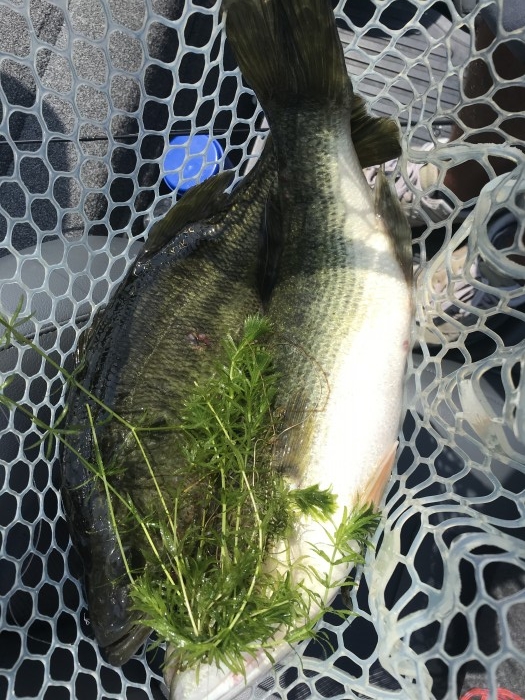 truth  ブログ写真 2020/08/20