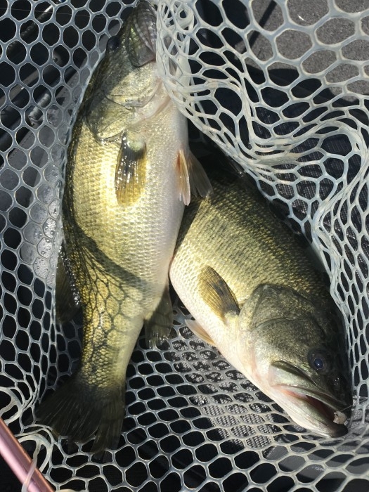 truth  ブログ写真 2020/08/20