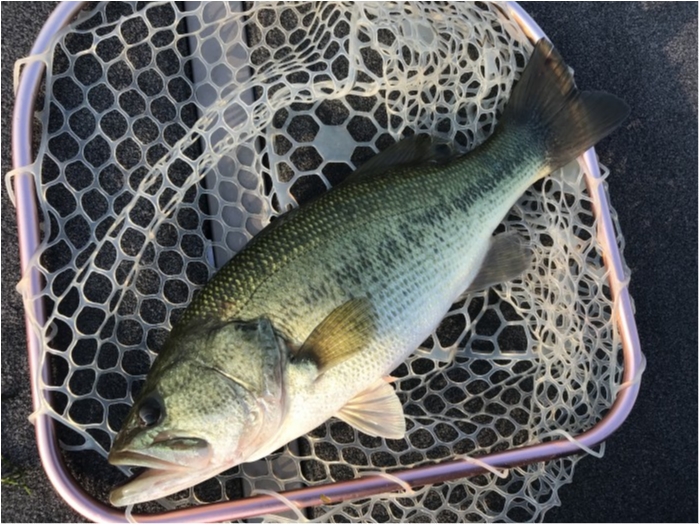 truth  ブログ写真 2020/08/20