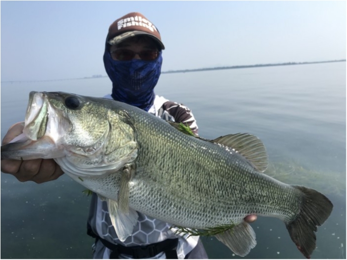 truth  ブログ写真 2020/08/21