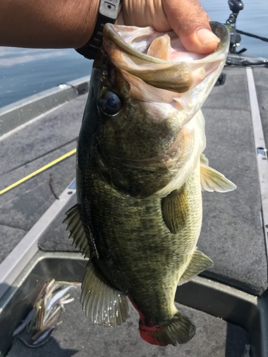 truth  ブログ写真 2020/08/21