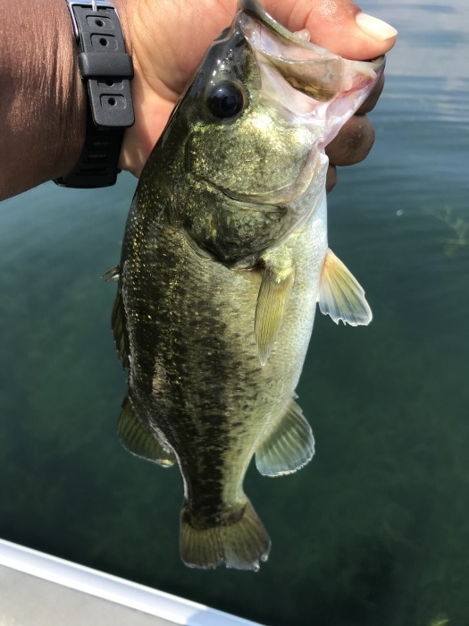 truth  ブログ写真 2020/08/21