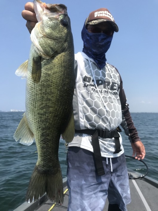 truth  ブログ写真 2020/08/21