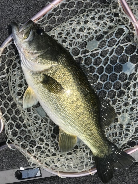 truth  ブログ写真 2020/08/21