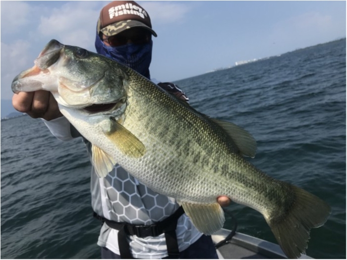 truth  ブログ写真 2020/08/21