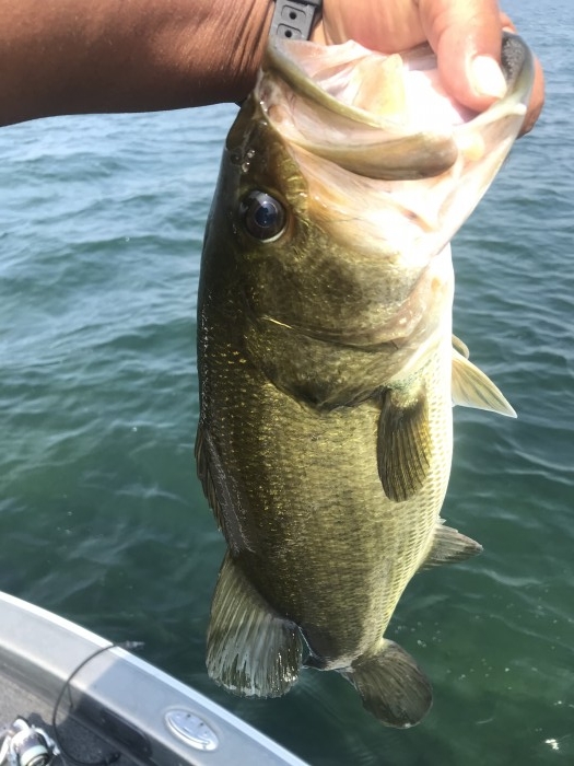 truth  ブログ写真 2020/08/21