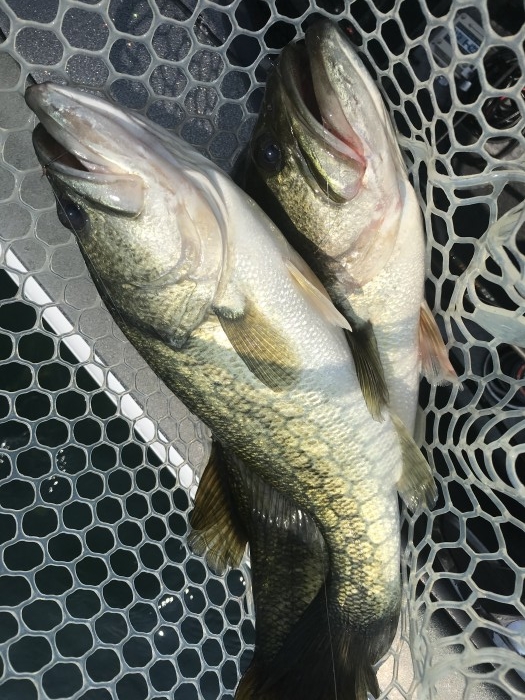 truth  ブログ写真 2020/08/21