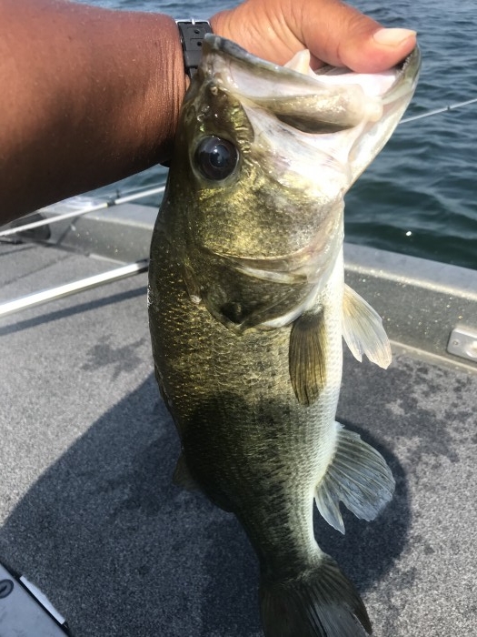 truth  ブログ写真 2020/08/21