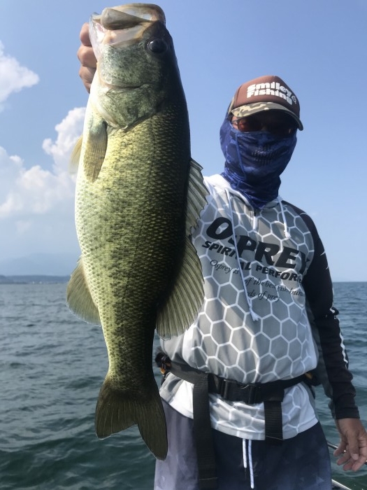 truth  ブログ写真 2020/08/21