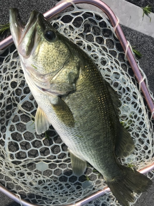 truth  ブログ写真 2020/08/21