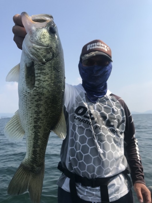 truth  ブログ写真 2020/08/21