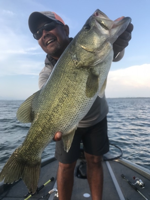 truth  ブログ写真 2020/08/21