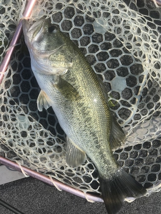 truth  ブログ写真 2020/08/22