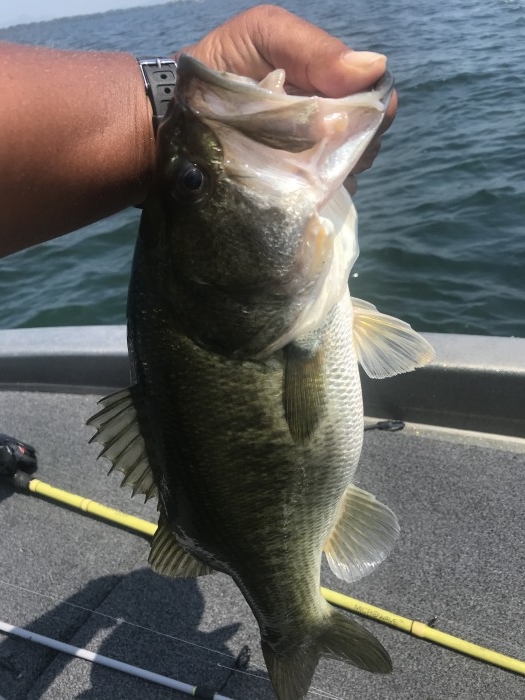 truth  ブログ写真 2020/08/22