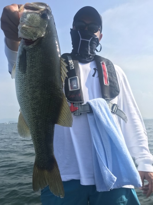 truth  ブログ写真 2020/08/22