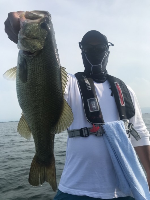 truth  ブログ写真 2020/08/22