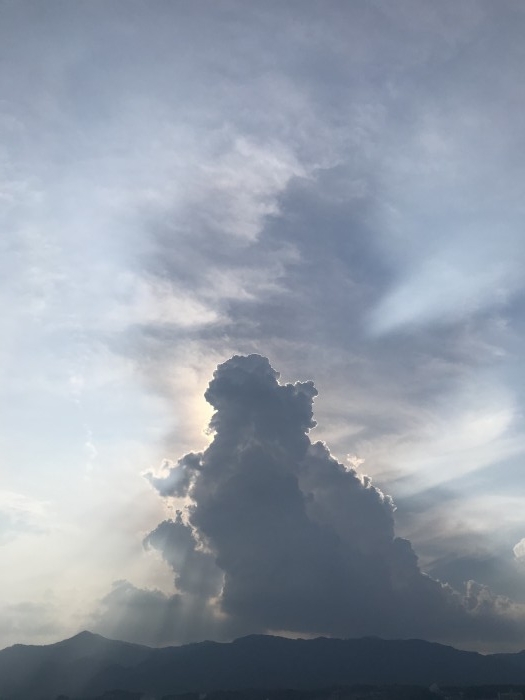 truth  ブログ写真 2020/08/22