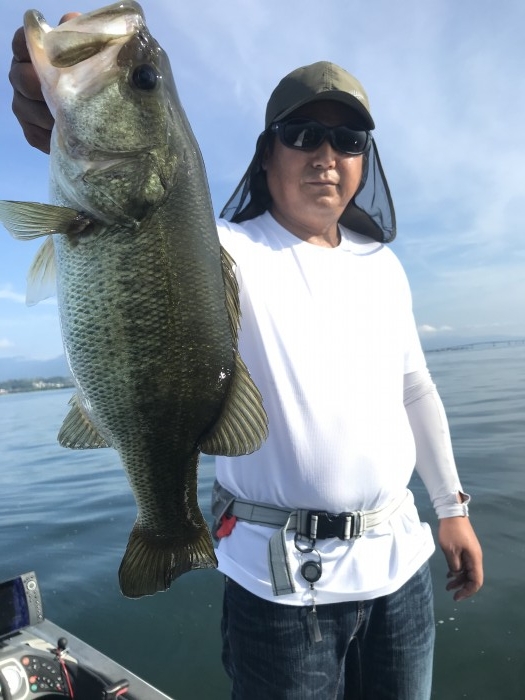 truth  ブログ写真 2020/08/23