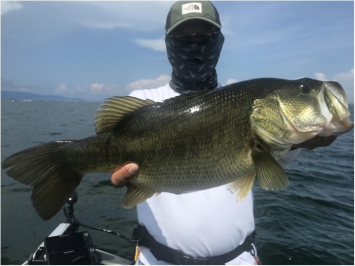 truth  ブログ写真 2020/08/23