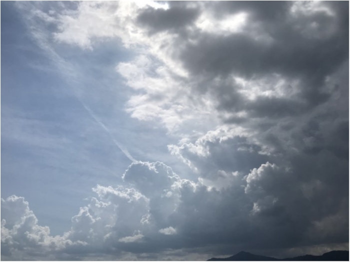 truth  ブログ写真 2020/08/23