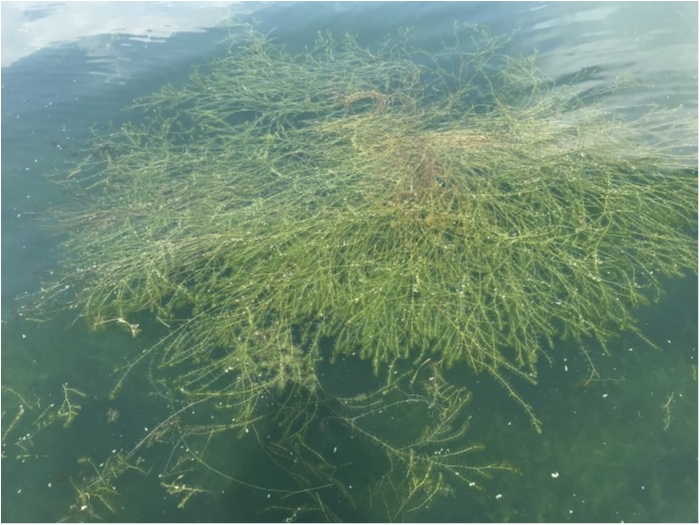 truth  ブログ写真 2020/08/24