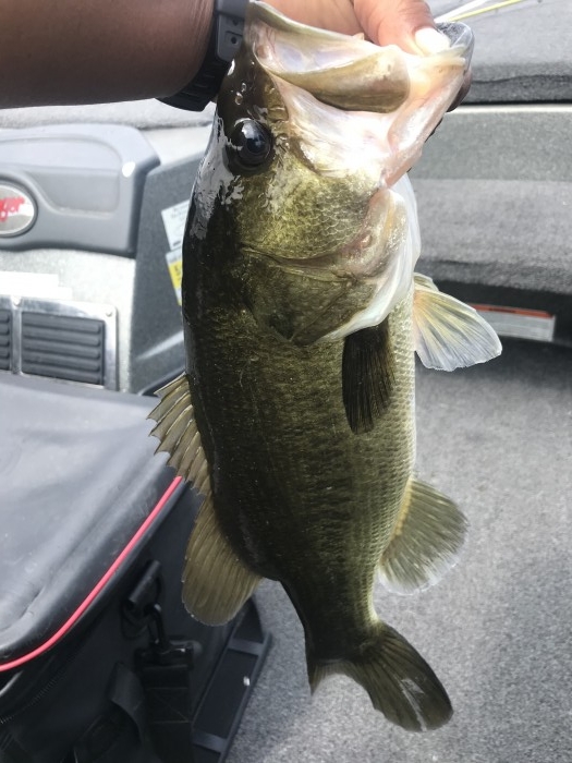 truth  ブログ写真 2020/08/24