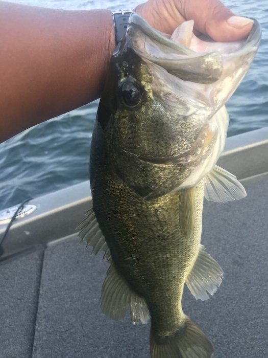 truth  ブログ写真 2020/08/24