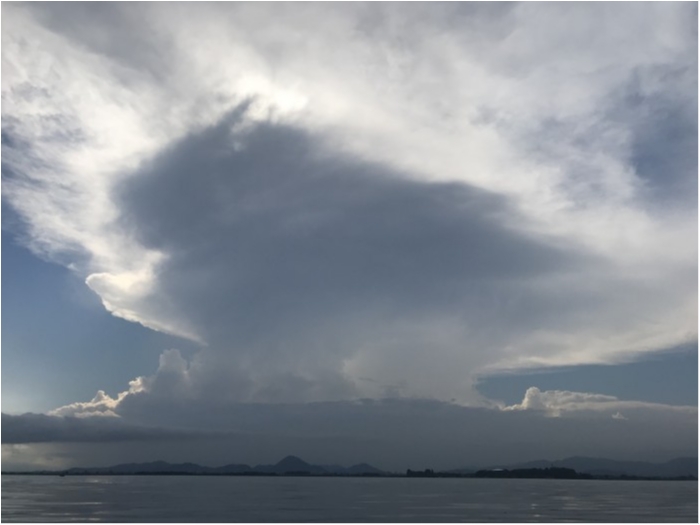 truth  ブログ写真 2020/09/01