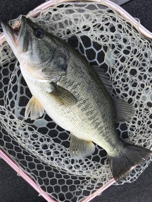 truth  ブログ写真 2020/09/02