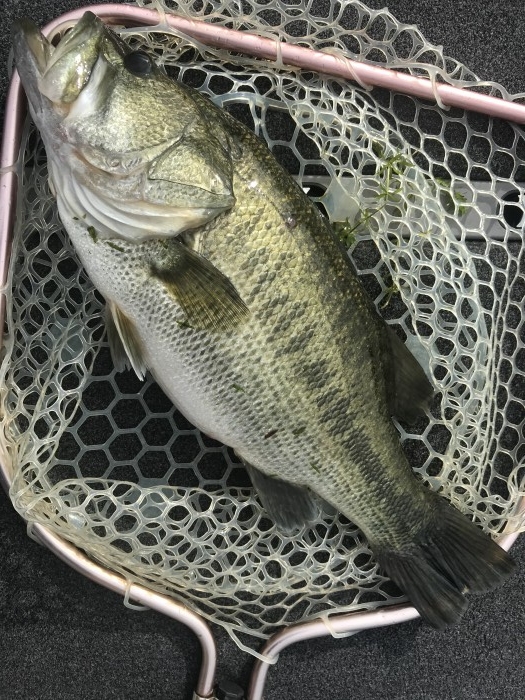 truth  ブログ写真 2020/09/03