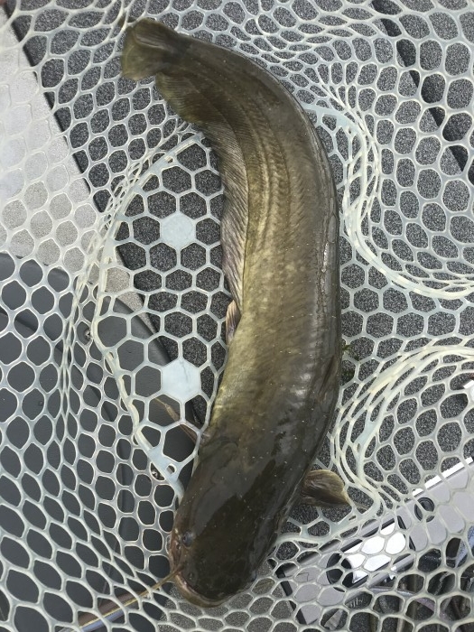 truth  ブログ写真 2020/09/03