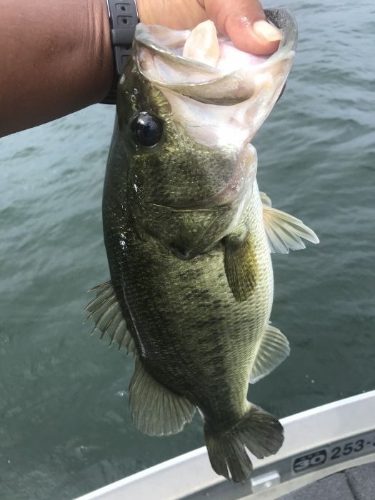 truth  ブログ写真 2020/09/03