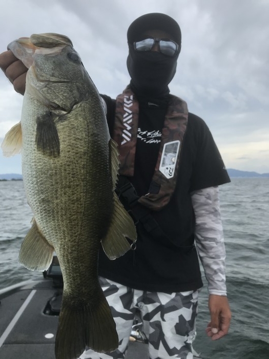 truth  ブログ写真 2020/09/03