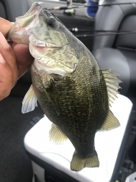 truth  ブログ写真 2020/09/03