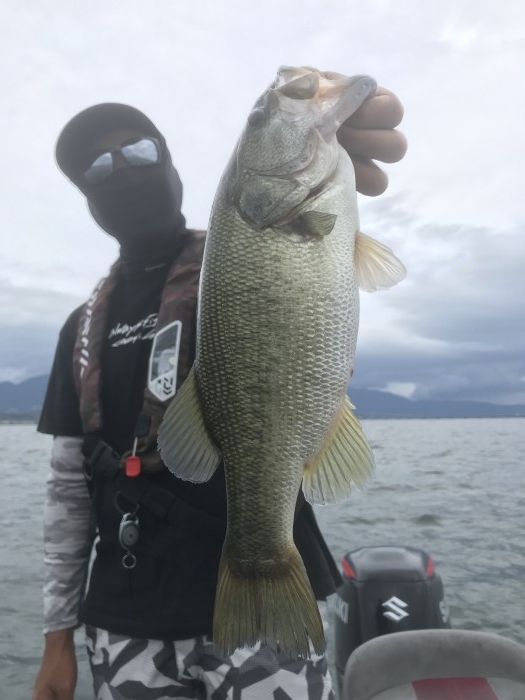 truth  ブログ写真 2020/09/03