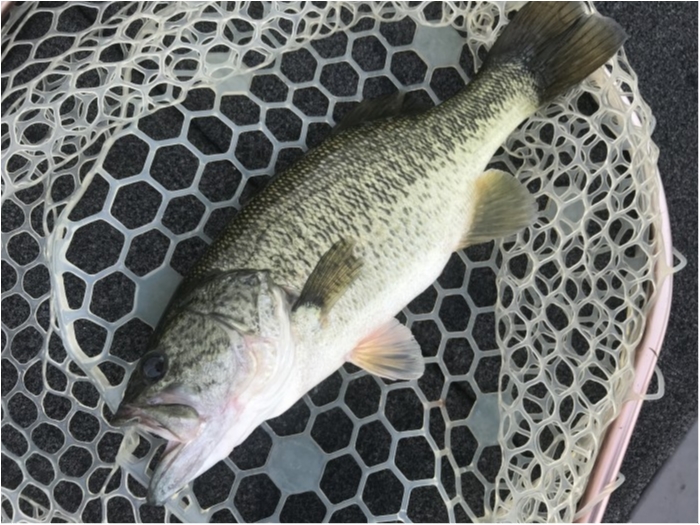 truth  ブログ写真 2020/09/03