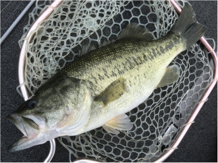 truth  ブログ写真 2020/09/03