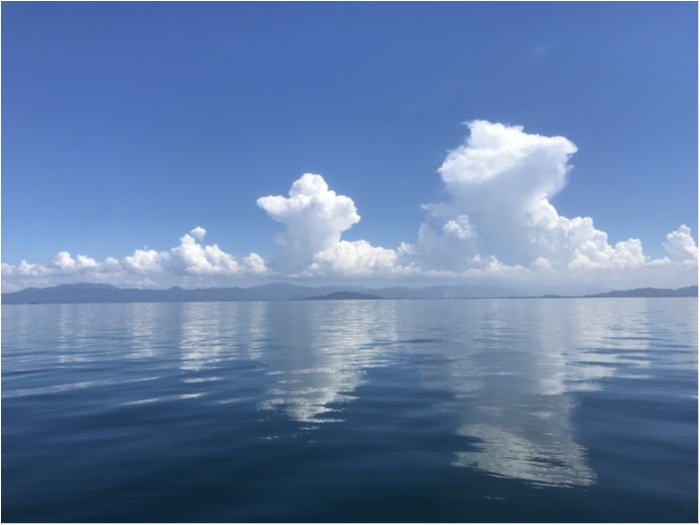 truth  ブログ写真 2020/09/05