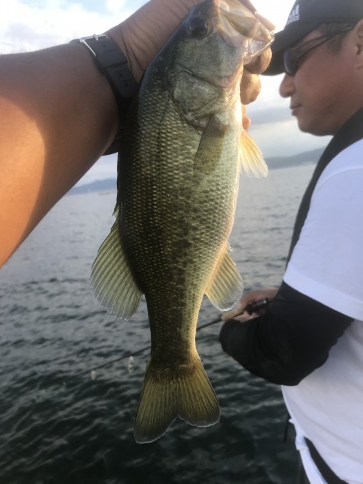 truth  ブログ写真 2020/09/05