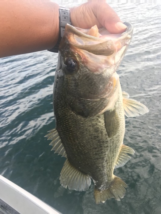 truth  ブログ写真 2020/09/06