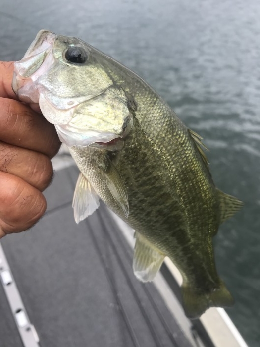 truth  ブログ写真 2020/09/06