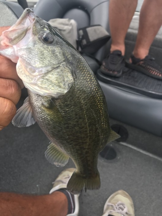 truth  ブログ写真 2020/09/06