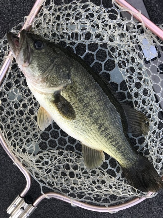 truth  ブログ写真 2020/09/06