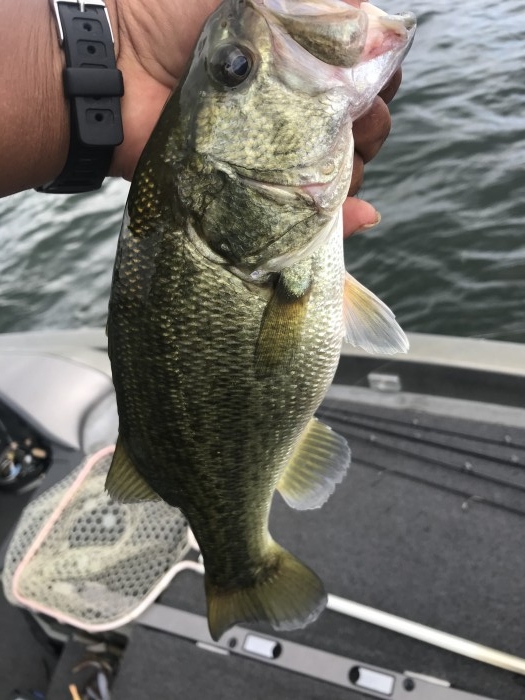 truth  ブログ写真 2020/09/06