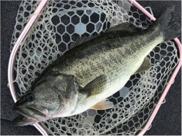 truth  ブログ写真 2020/09/06