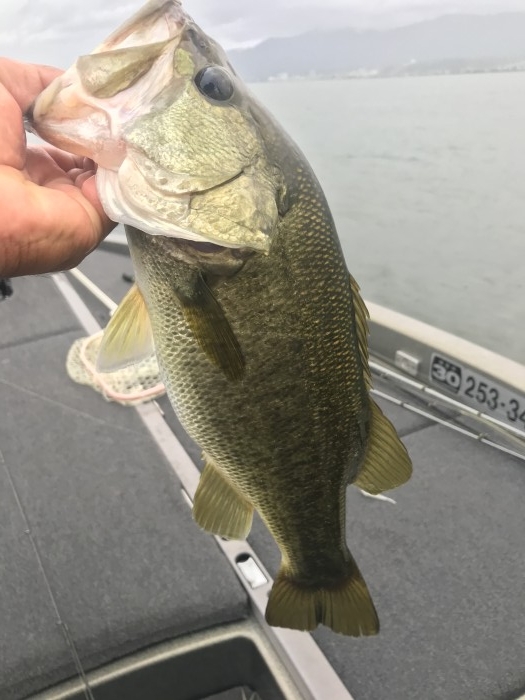 truth  ブログ写真 2020/09/06