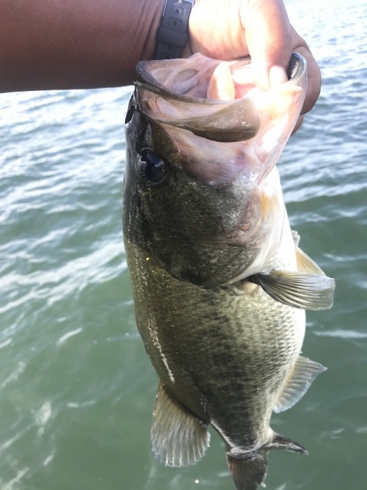 truth  ブログ写真 2020/09/07